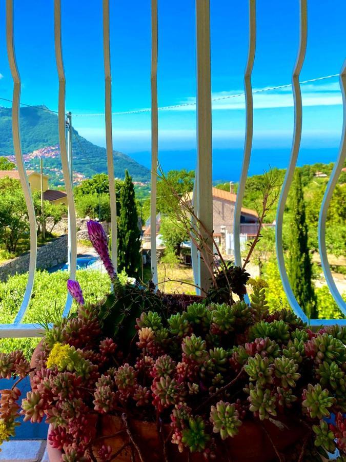 Residenze Maremonti Διαμέρισμα Maratea Εξωτερικό φωτογραφία