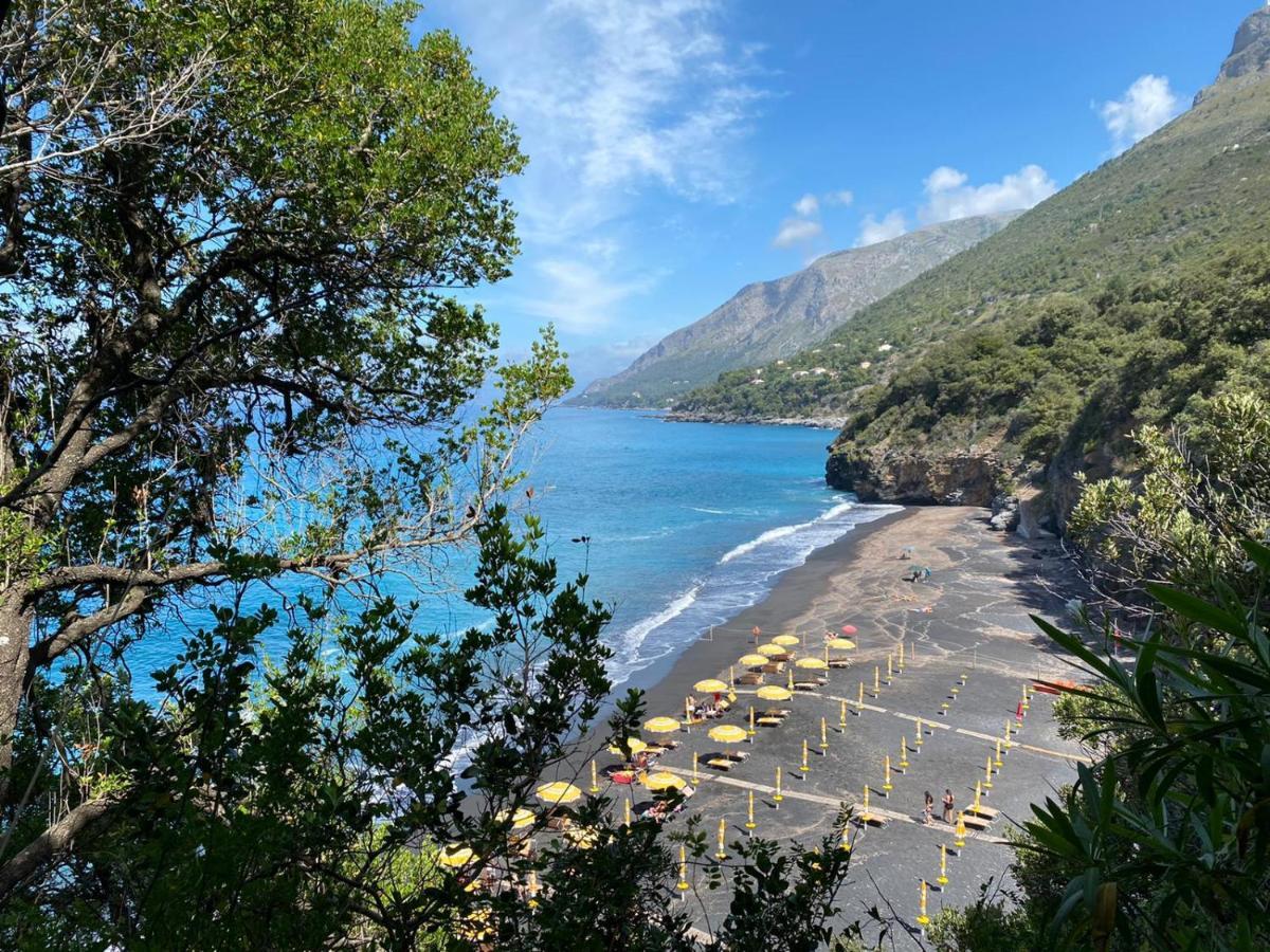 Residenze Maremonti Διαμέρισμα Maratea Εξωτερικό φωτογραφία